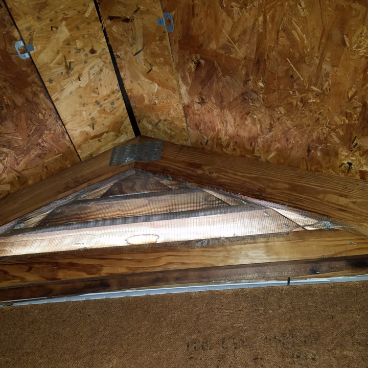 Bat Removal Bat Removal